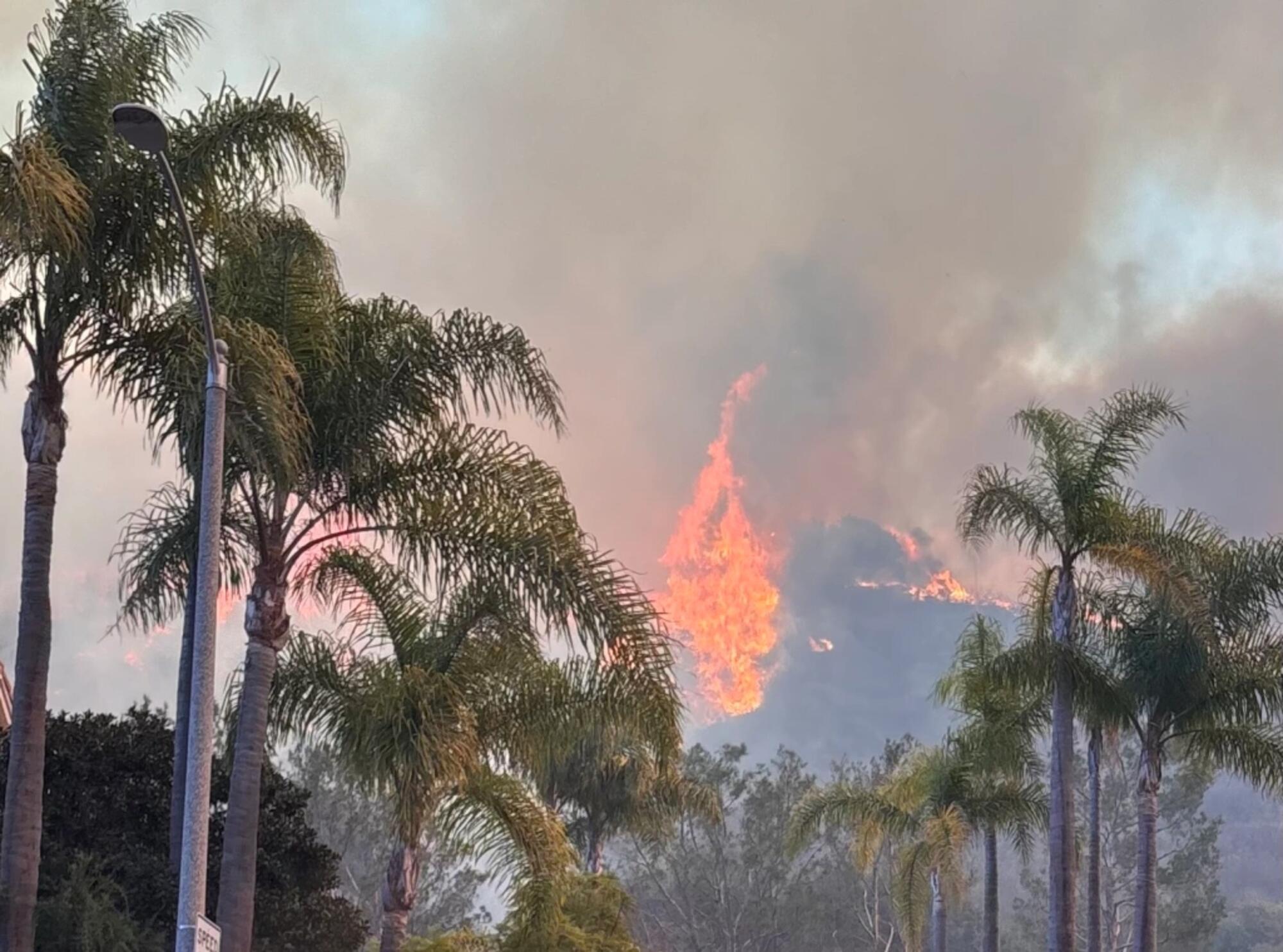 Incendios de enero de 2025 en Los Ángeles. Fuente: Beyond Nuclear